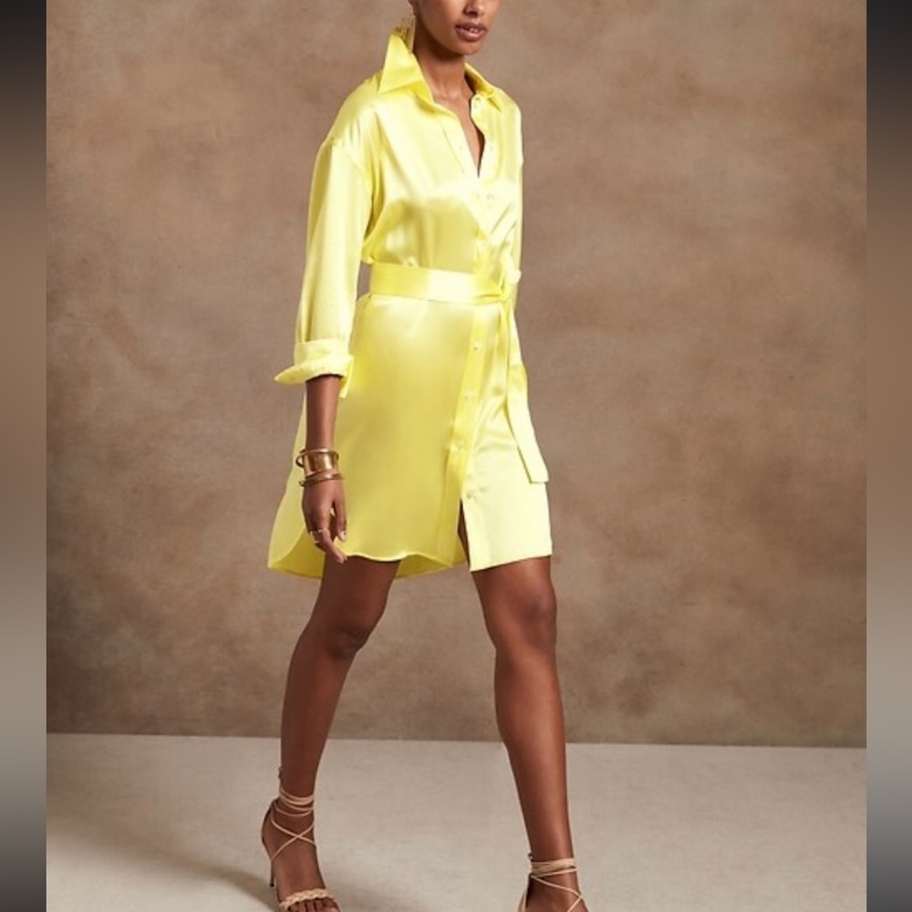 Banana Republic 100% silk shirt dress